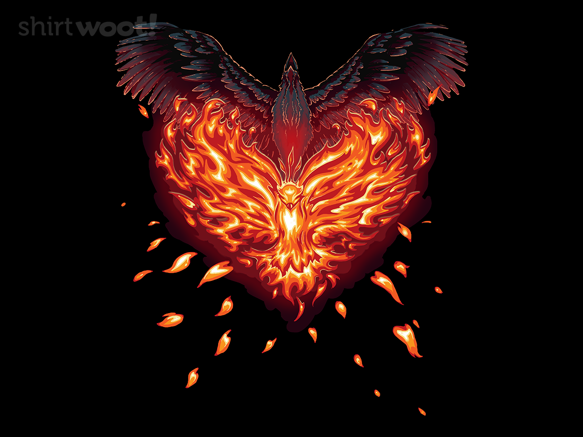 A Heart Reborn - Gallery 3