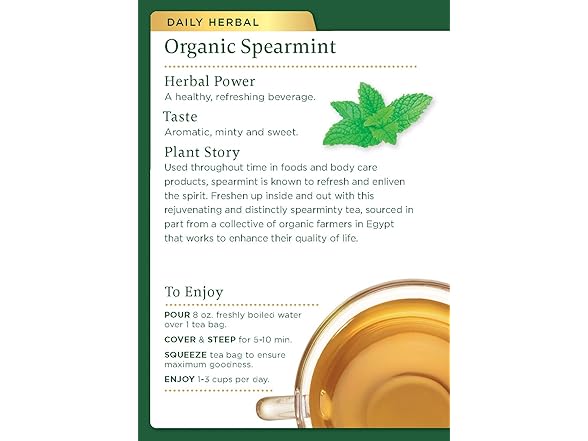 16Ct Traditional Medicinals Tea, Organic Spearmint