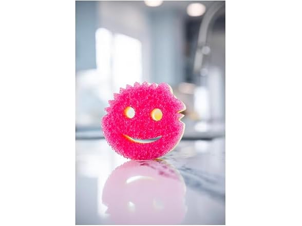 Scrub Daddy 6 Scrub Mommy Kitchen