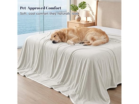 PHF Light Grey Cooling Blanket Queen 90"x90"
