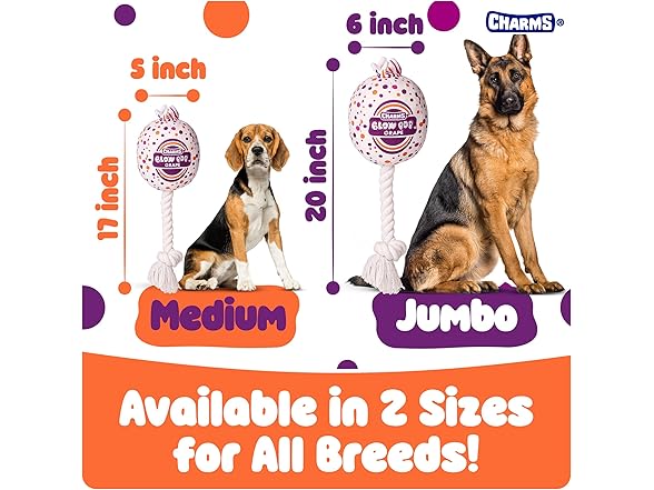 Blow Pop Plush & Rope Dog Toy