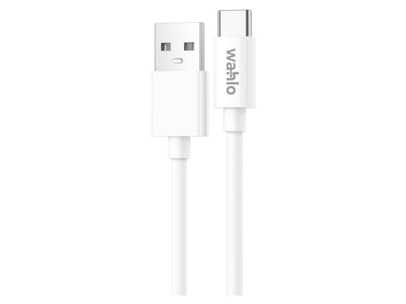 GoGreen USB-A to USB-C Cable, 10 Ft (2-Pack)