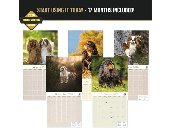 Cavalier Calendar 2026 2027, 16-Month Cavalie