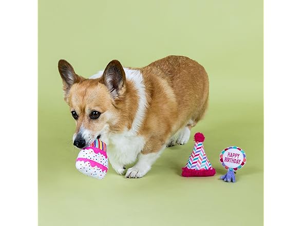 CAN I GET A WOOF-WOOF! Plush Dog Toy Set
