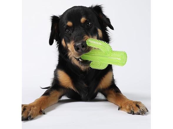Gnawsome Spiky Chew Toy, Your Choice