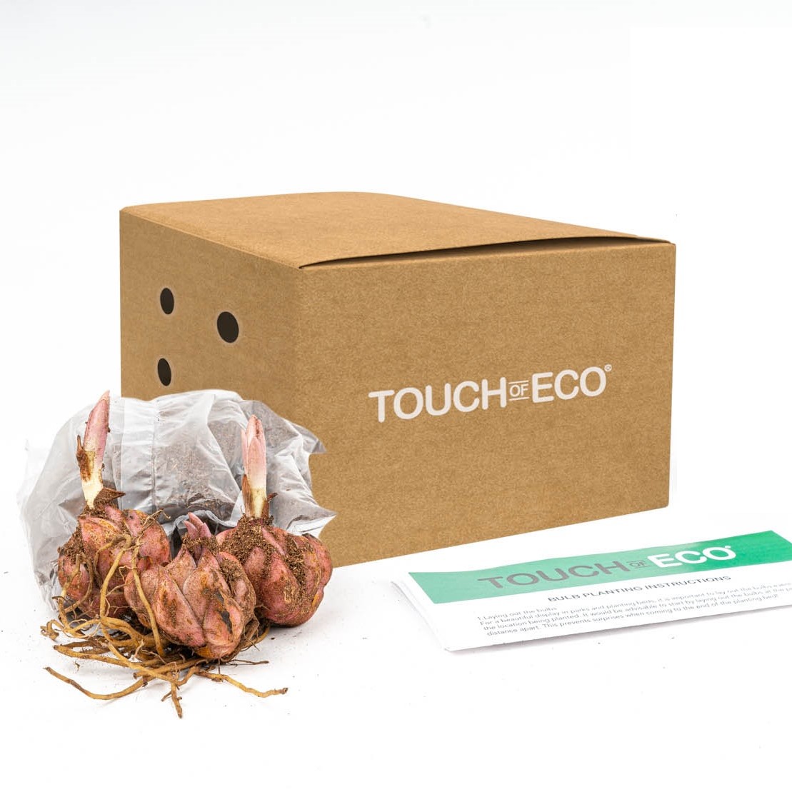 Giant Tree Lily Flowers - Gallery 9