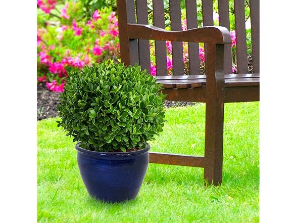 Sunnydaze Large Ceramic Plant Pot 14.5"