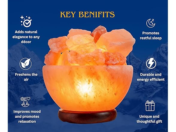 Spantik Himalayan Salt Lamp Bowl