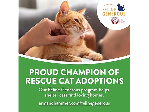 Feline Pine Platinum Non-Clumping Cat Litter