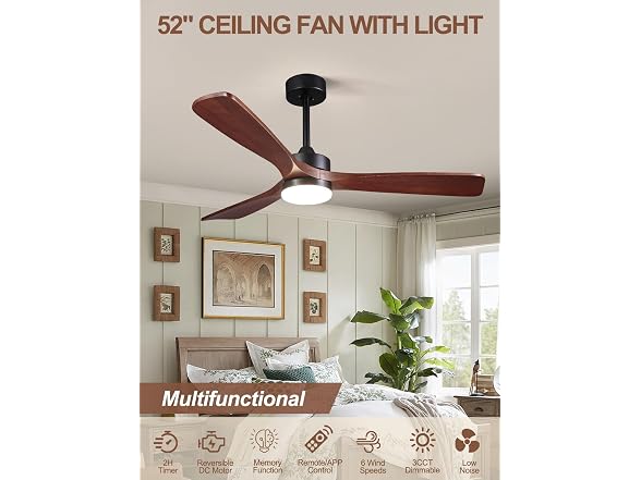 Kainozoic 52 Inch Ceiling Fan with Light