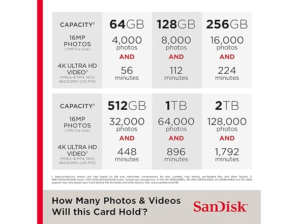 SanDisk High Endurance 128 GB Class
