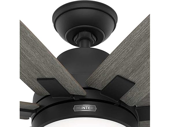 Hunter Fan 60" w/ Light Kit and 7-Blades