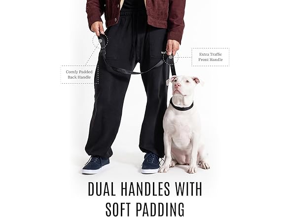2025 New Edition, Fei and Eve Classic Dog Leash