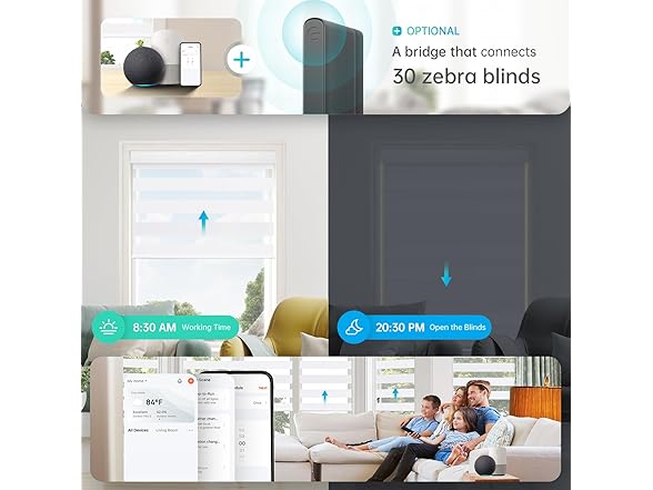 DENFOON Motorized Zebra Blinds