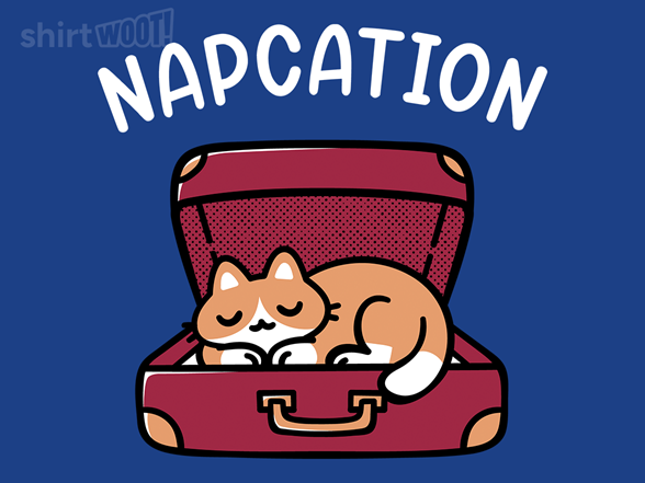Napcation