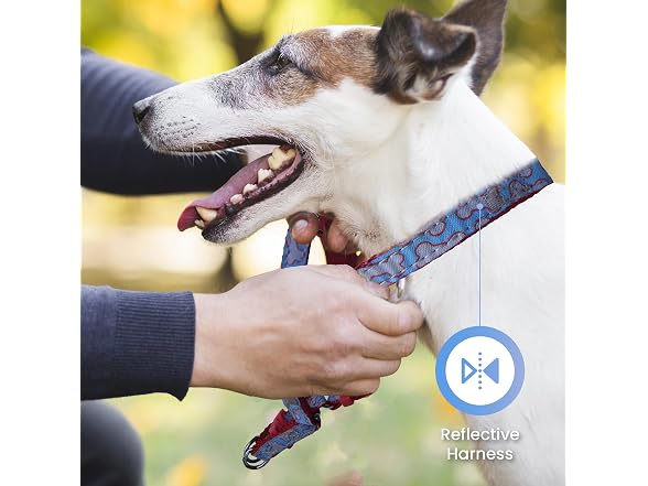 Dog Harness for Puppies, Make Your Walks Eas