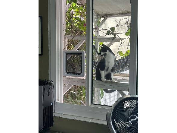Custom Cat Door Window Insert