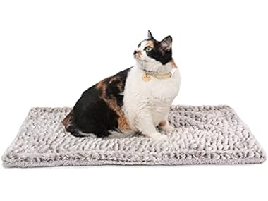 $14.99, Was $19.99, 25% Off! Self Heating Cat Pad dealfomo