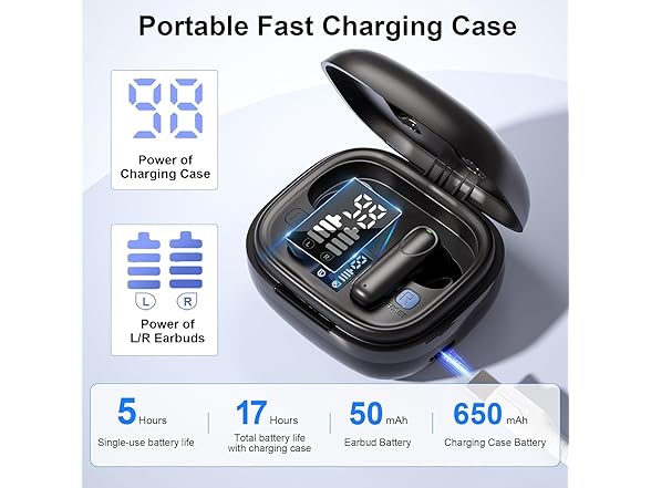 Digital Hearing Aids w/ Cleaner Kit