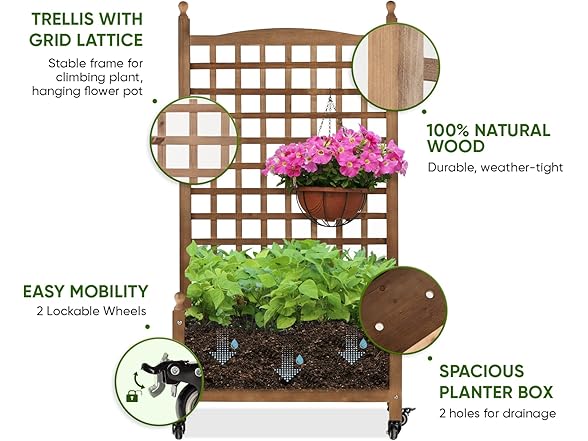 Idzo Raised Garden Bed with Trellis