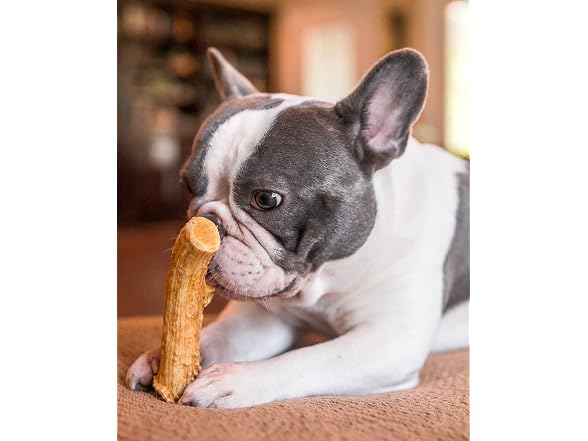 Pet Qwerks Nylon Antler Liver Flavor