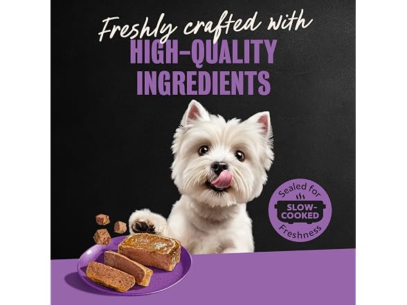 24ct Cesar Classic Loaf in Sauce Adult Wet Dog Food