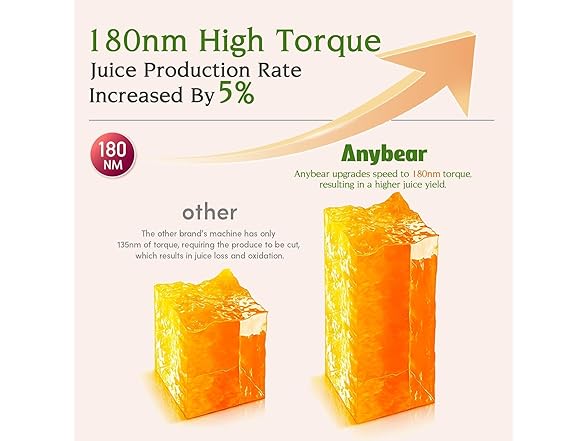 Anybear Cold Press Juicer