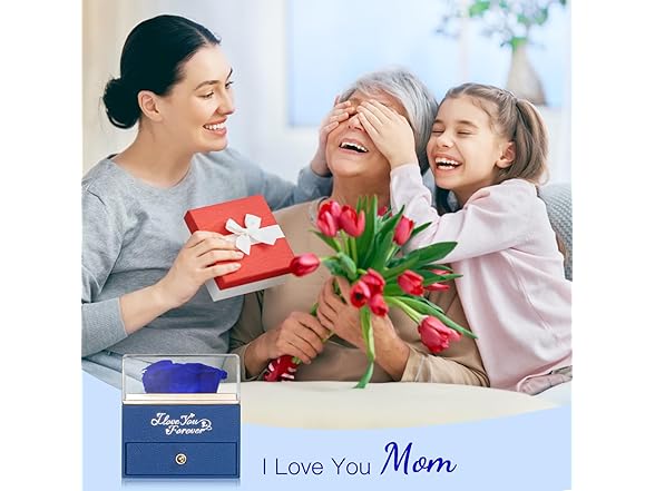 WILDLOVE Preserved Real Blue Rose