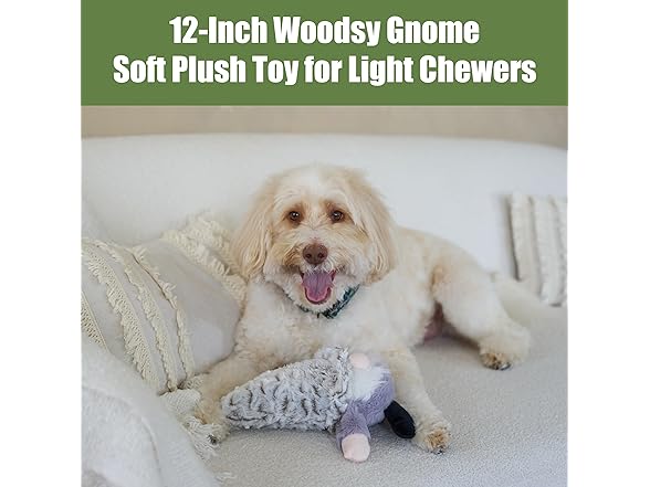 SPOT Woodsy Gnome Dog Toy