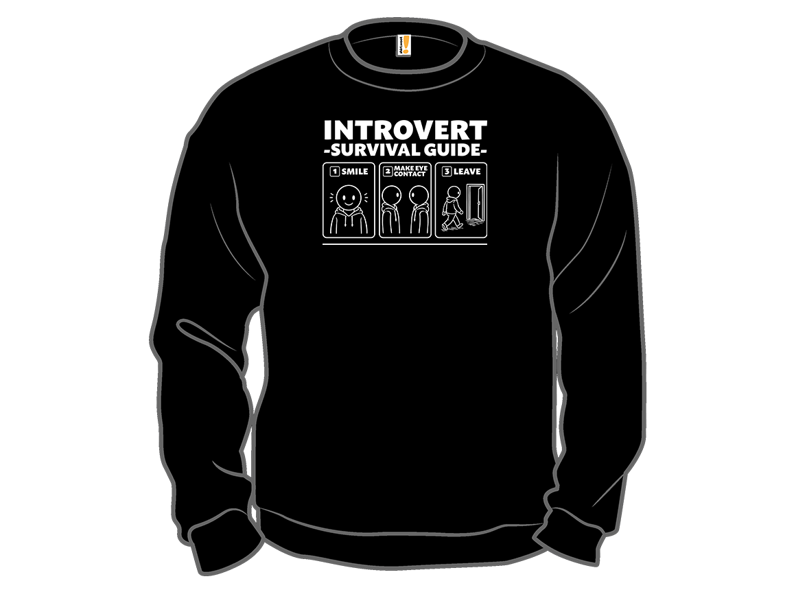 Introvert Survival Guide - Gallery 11