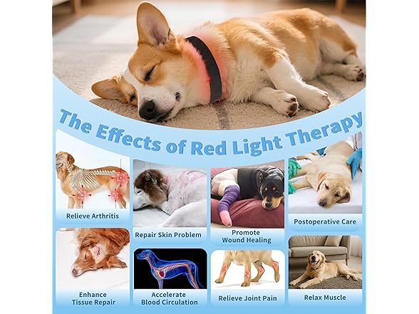 MIAOTONG Red Light Therapy Collar