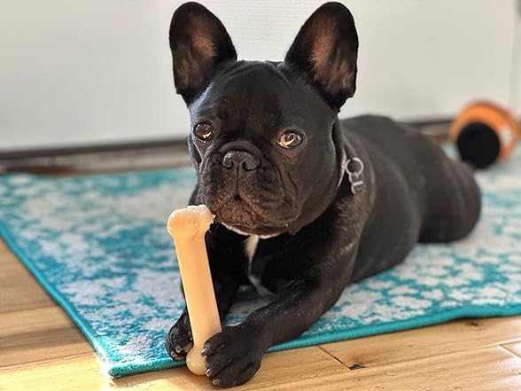Nylabone Power Chew Original Bone- Medium