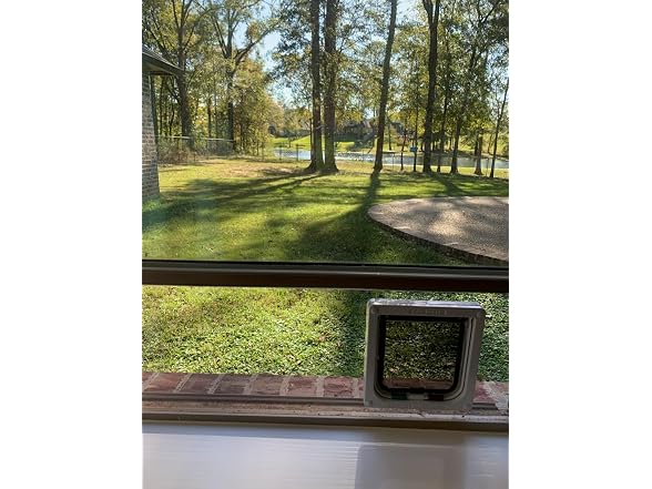 Custom Cat Door Window Insert