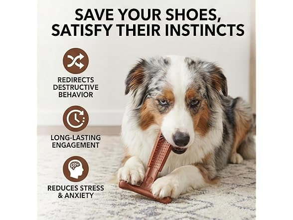 SPOT Bam-Bones Plus Coffee Wood T-Bone Dog Chew Toy, Beef