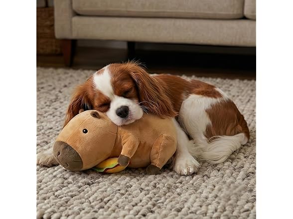 SPOT Capybara with Taco Plush Dog Toy