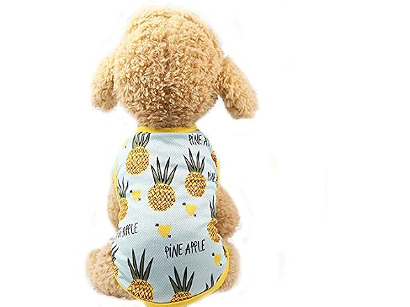 Pet Clothes,Lovely Summer Fruit Dog T-Shirt P