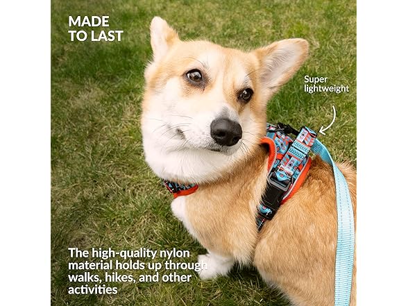 CollarDirect No Pull Reflective Dog Harness- Tribal