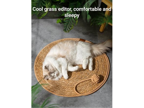 SSDHUA Round Cat Scratching Board Bed
