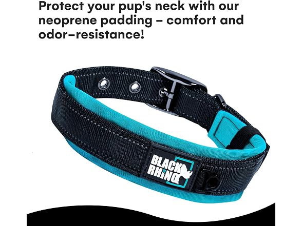 Black Rhino XL Dog Collar - Heavy Duty