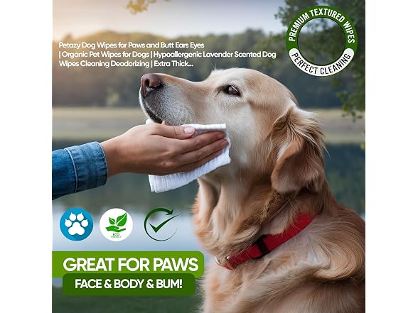 Petazy Pet Wipes for Dogs & Cats (200Ct)