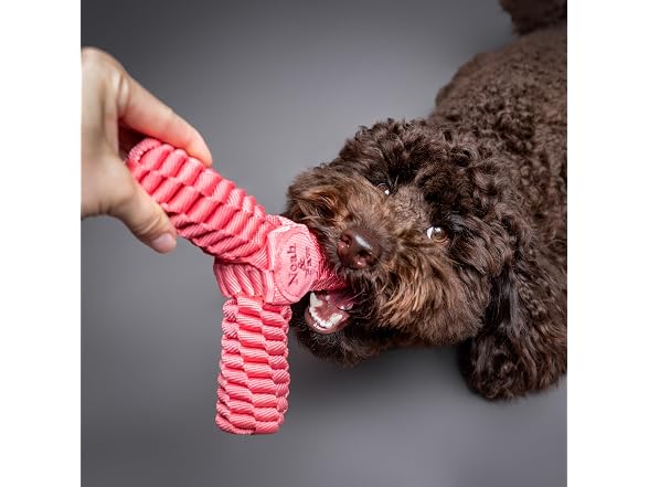 NOAH & PAW Luxury Dog Toy, Dog Rope Toy- Y Flyer, Pink