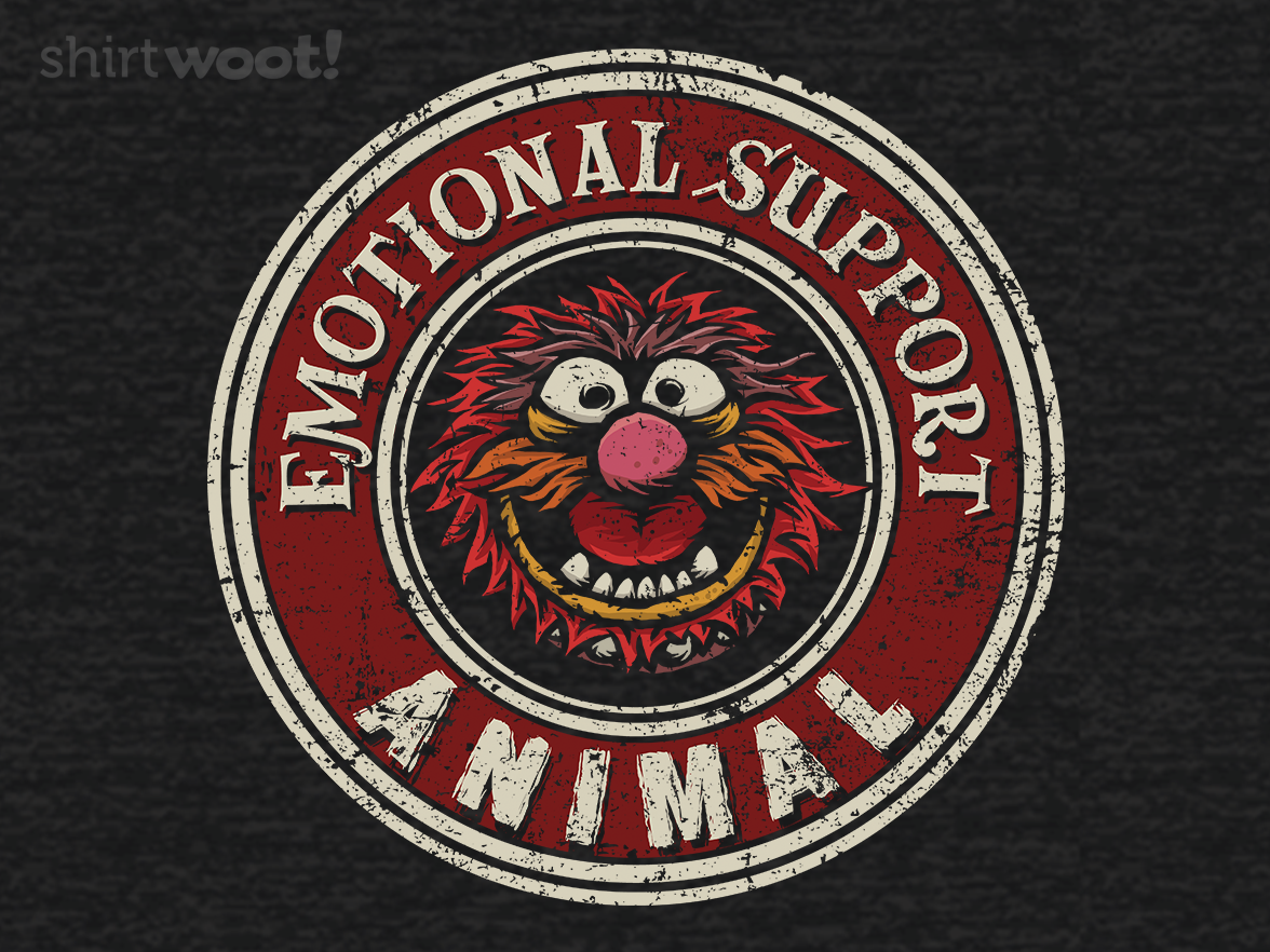 2023: Emotional Support Animal - Gallery 9
