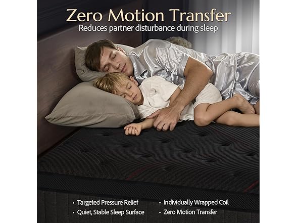ZLNDR 10 Inch Queen Mattress