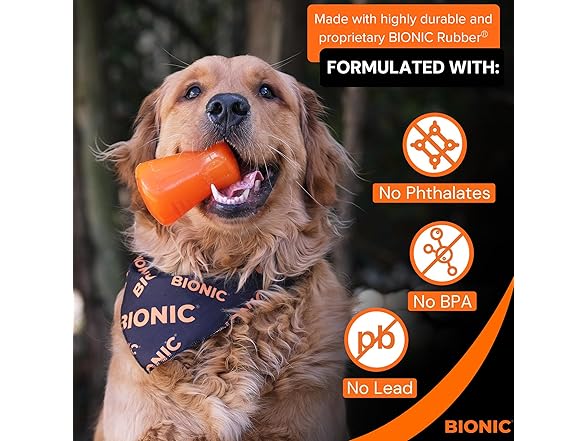BIONIC Treat Shaker Dog Chew Toy, Large