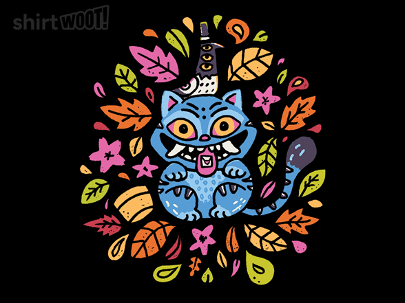 K-Fall Cat