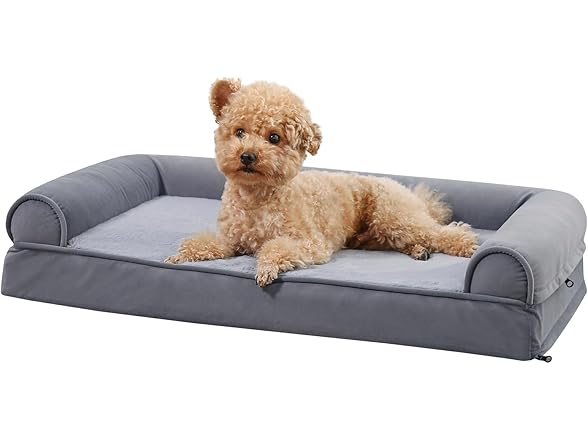 Amazon Basics Living Room Couch Dog Bed