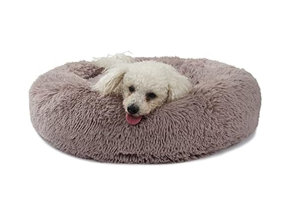 Dog Beds for Medium Dogs Washable Orthopedic