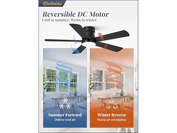 Fanbulous 42" Ceiling Fan W/Light