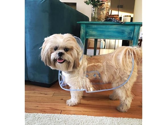 Topsung Waterproof Puppy Raincoat Blue Trans