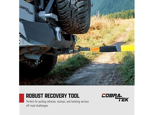 Cobra-Tek BTQQCR-1000 2" Tow Hook Reciever Shank